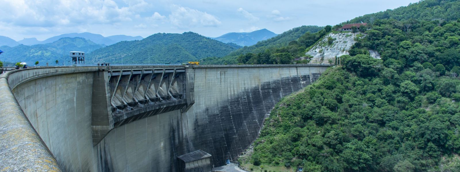 Reservoirs at 31% for Power generation